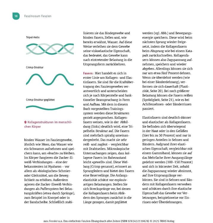 Produktbild: Das einfachste Faszien-&Uuml;bungsbuch aller Zeiten