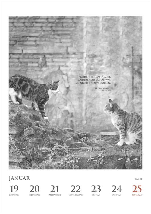 Produktbild: Der poetische Katzenkalender im Format 21 x 29,7