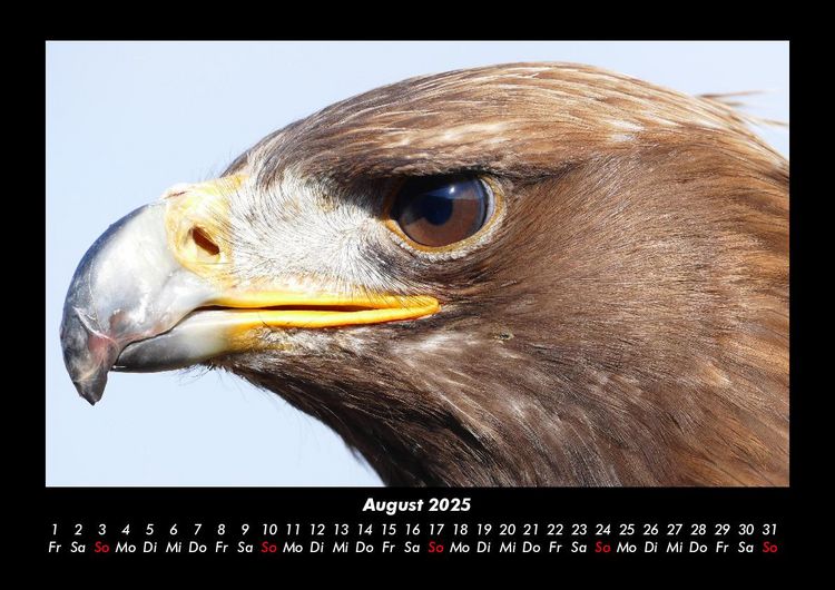 Produktbild: Vogelparadies 2025 Fotokalender DIN A3