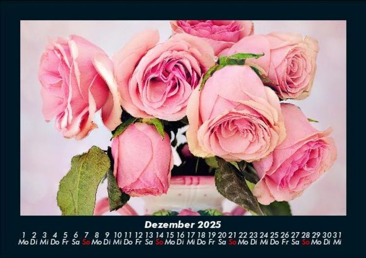 Produktbild: Rosen-Kalender 2025 Fotokalender DIN A5