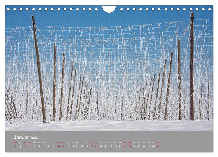 Produktbild: Hallertau (Wandkalender 2026 DIN A4 quer), CALVENDO Monatskalender