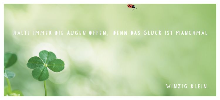 Produktbild: Für dich hab ich das Glück gepflückt