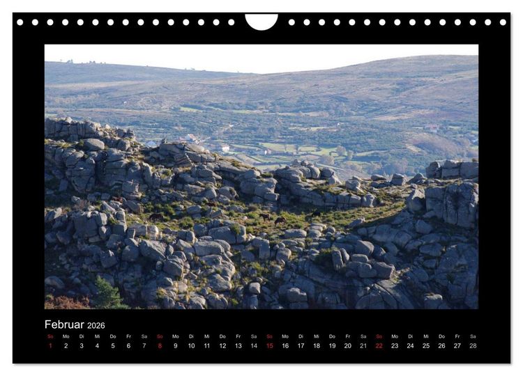 Produktbild: Garranos - Bedrohte Wildpferde Europas (Wandkalender 2026 DIN A4 quer), CALVENDO Monatskalender