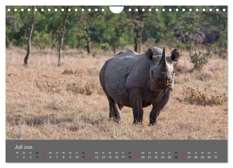 Produktbild: Ich tr&auml;umte von Afrika (Wandkalender 2026 DIN A4 quer), CALVENDO Monatskalender
