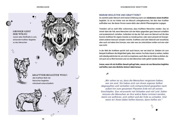 Produktbild: Praxisbuch Schamanische Krafttiere &ndash; Entdecke deine Seelenbegleiter