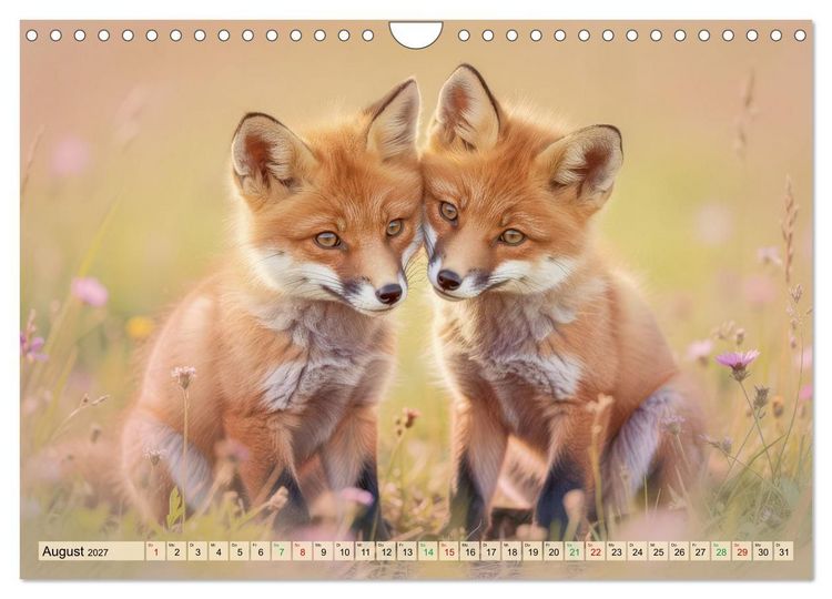 Produktbild: F&uuml;chse in Pastellfarben (Wandkalender 2027 DIN A4 quer), CALVENDO Monatskalender