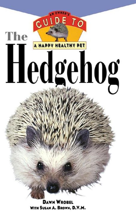 Produktbild: The Hedgehog