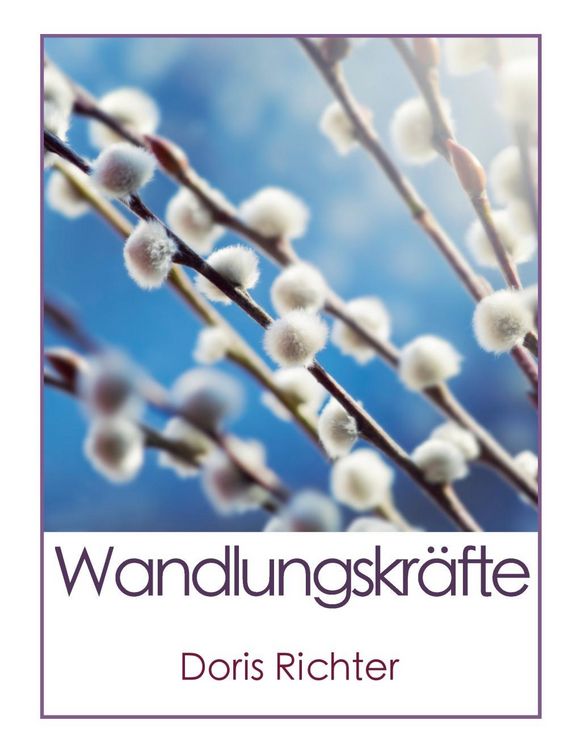 Produktbild: Wandlungskr&auml;fte