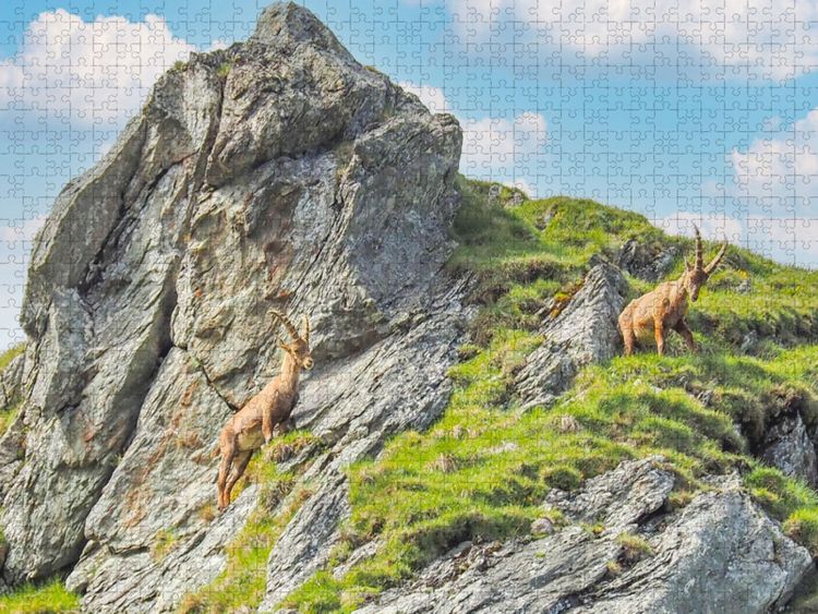 Produktbild: CALVENDO Puzzle Steinb&ouml;cke | 1000 Teile Lege-Gr&ouml;&szlig;e 64x48cm Foto-Puzzle f&uuml;r gl&uuml;ckliche Stunden