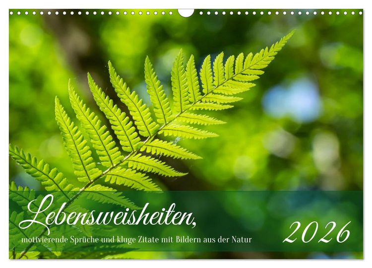 Produktbild: Lebensweisheiten, motivierende Spr&uuml;che und kluge Zitate mit Bildern der Natur (Wandkalender 2026 DIN A3 quer), CALVENDO Monatskalender