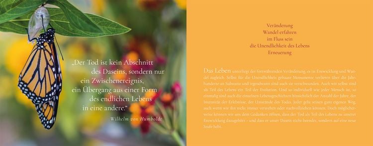 Produktbild: Das Funkeln der Sterne