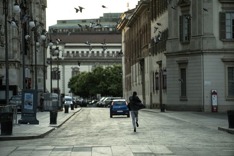 Produktbild: Die letzte Nacht in Mailand