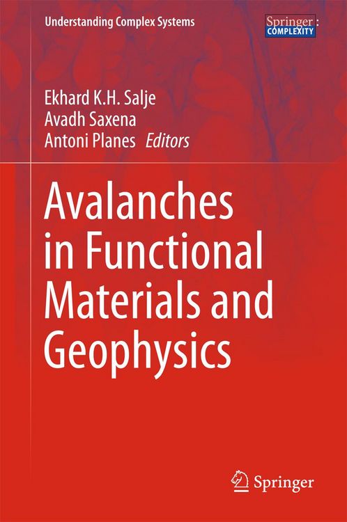 Produktbild: Avalanches in Functional Materials and Geophysics
