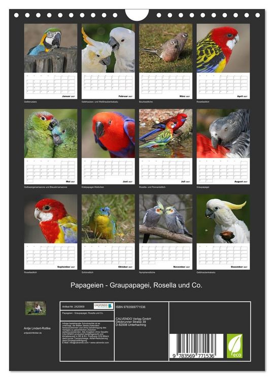 Produktbild: Papageien - Graupapagei, Rosella und Co. (Wandkalender 2027 DIN A4 hoch), CALVENDO Monatskalender