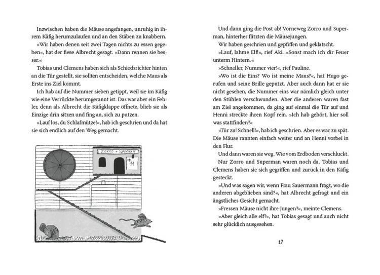 Produktbild: Miss Braitwhistle 3. Miss Braitwhistle hebt ab. Neu illustriert von Andrea Stegmaier