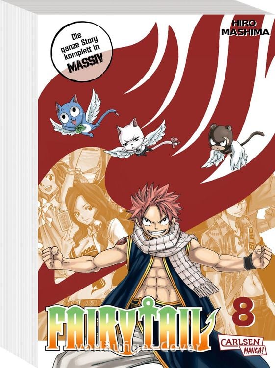Produktbild: Fairy Tail Massiv 8