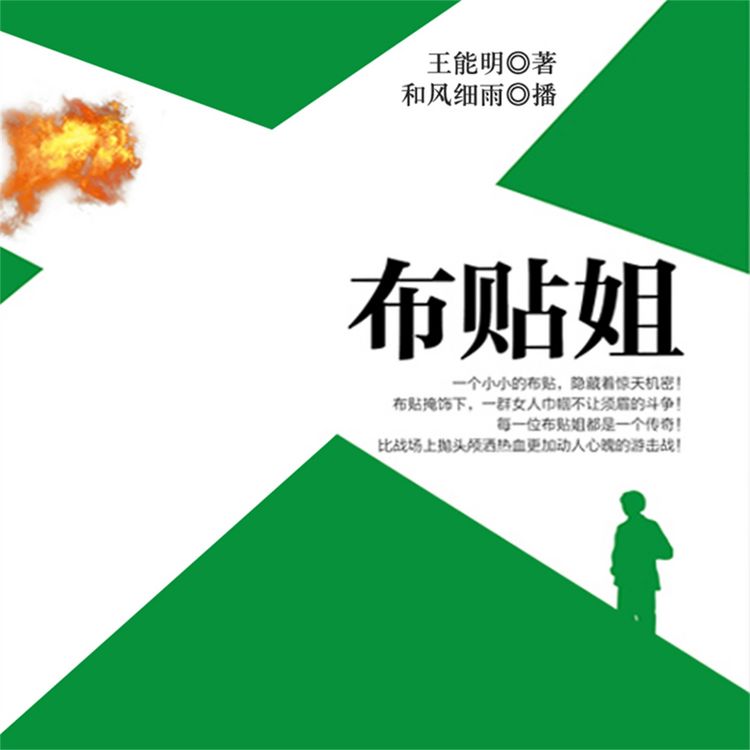 Produktbild: 布贴姐