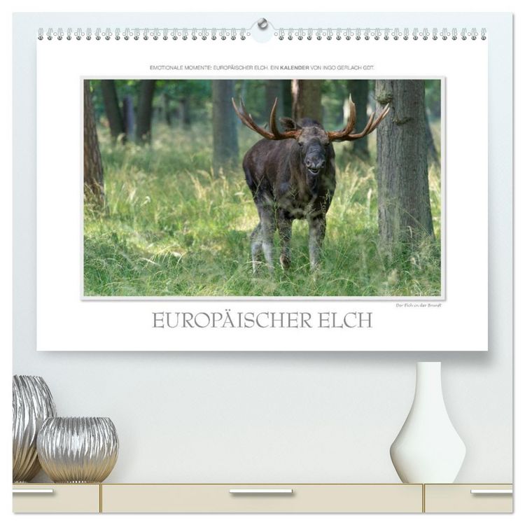 Produktbild: Emotionale Momente: Europ&auml;ischer Elch. / CH-Version (hochwertiger Premium Wandkalender 2026 DIN A2 quer), Kunstdruck in Hochglanz