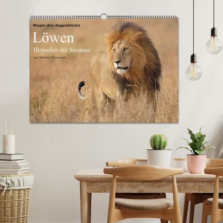 Produktbild: Magie des Augenblicks - L&ouml;wen - Herrscher der Savanne (Wandkalender 2026 DIN A2 quer), CALVENDO Monatskalender