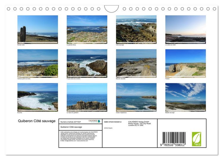 Produktbild: Quiberon C&ocirc;t&eacute; sauvage (Calendrier mural 2026 DIN A4 vertical), CALVENDO calendrier mensuel