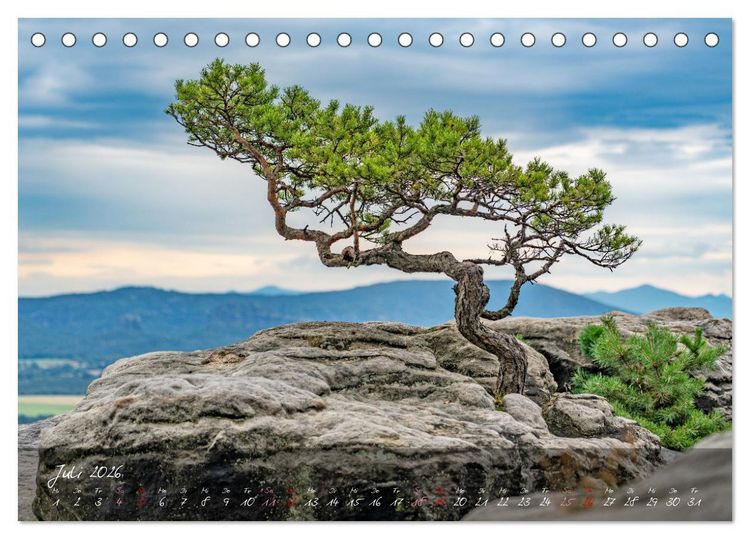 Produktbild: Landschaften der S&auml;chsischen Schweiz (Tischkalender 2026 DIN A5 quer), CALVENDO Monatskalender