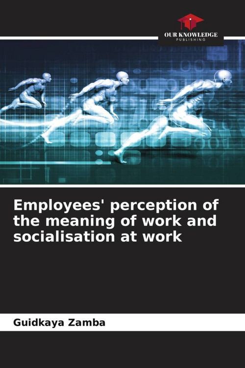 Produktbild: Employees' perception of the meaning of work and socialisation at work