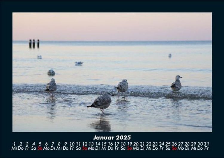 Produktbild: Meereslandschaft 2025 Fotokalender DIN A5