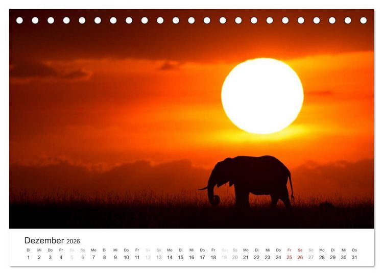 Produktbild: Elefanten - Sanfte Riesen in Afrika (Tischkalender 2026 DIN A5 quer), CALVENDO Monatskalender