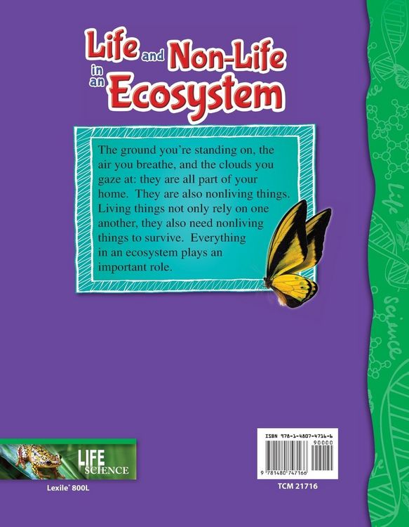 Produktbild: Life and Non-Life in an Ecosystem