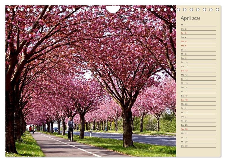 Produktbild: Magdeburg an der Elbe 2026 (Wandkalender 2026 DIN A4 quer), CALVENDO Monatskalender