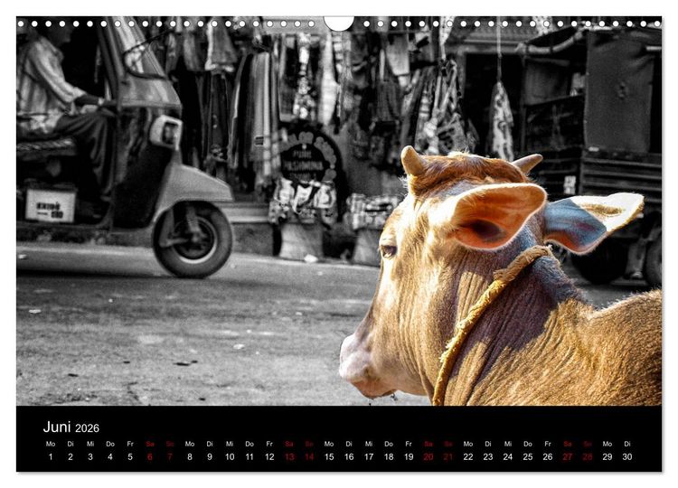 Produktbild: Indien Colorkey (Wandkalender 2026 DIN A3 quer), CALVENDO Monatskalender