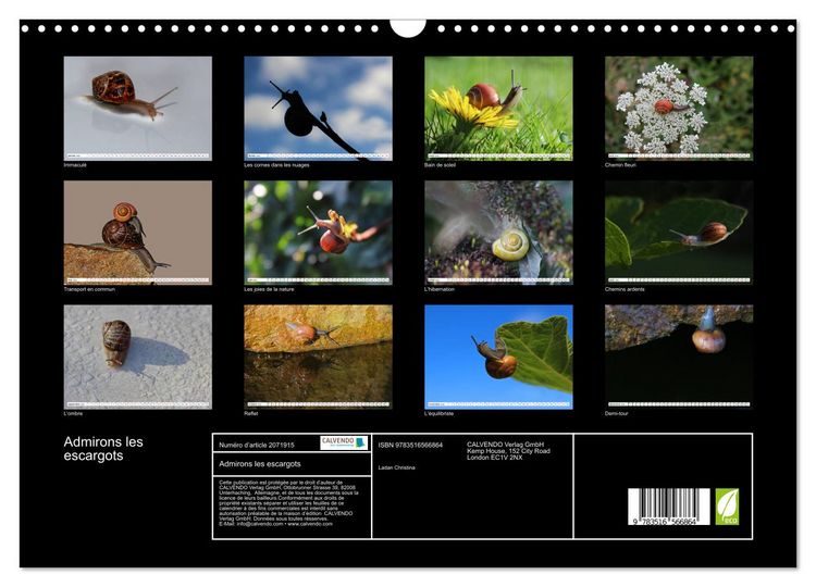 Produktbild: Admirons les escargots (Calendrier mural 2026 DIN A3 vertical), CALVENDO calendrier mensuel