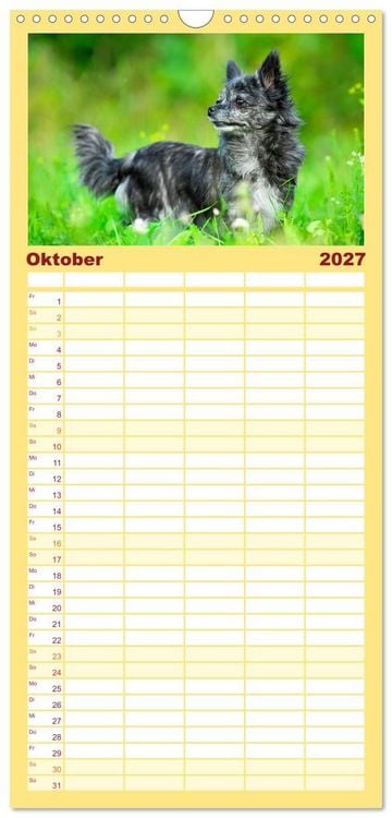 Produktbild: Familienplaner 2027 - Enegieb&uuml;ndel Chihuahua - Temperament auf vier Pfoten mit 5 Spalten (Wandkalender, 21 x 45 cm) CALVENDO