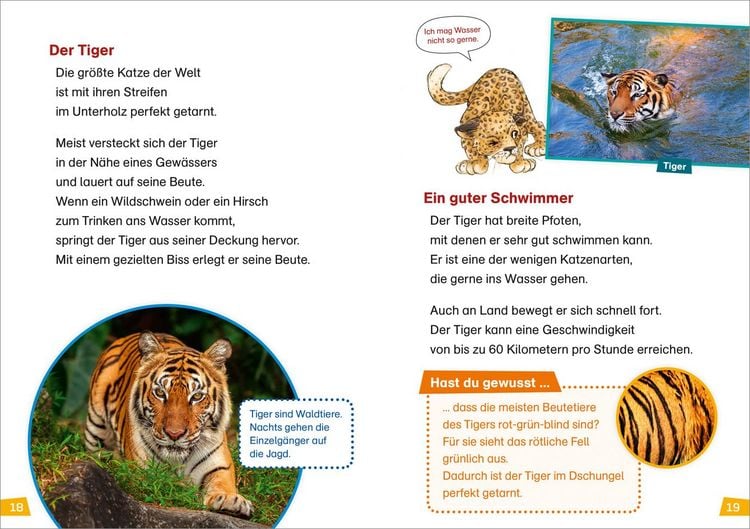 Produktbild: WAS IST WAS Erstes Lesen Band 17. Raubkatzen
