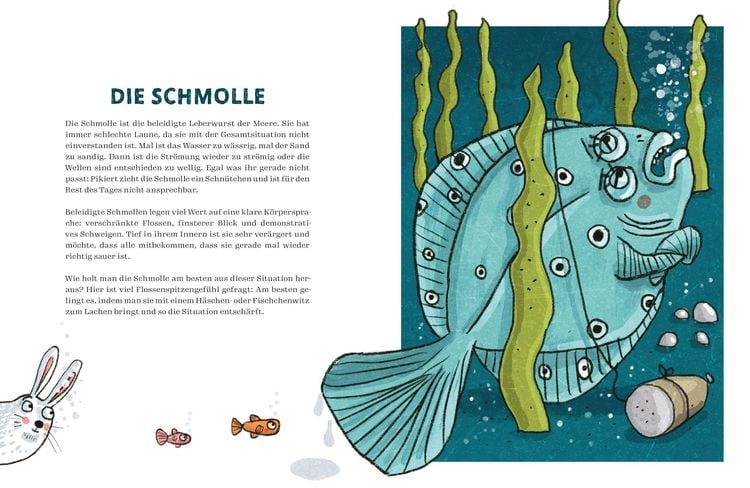 Produktbild: Von Schildfl&ouml;ten, Herdm&auml;nnchen und Gro&szlig;maulnash&ouml;rnern.