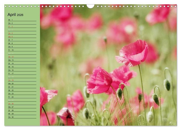 Produktbild: Mohnblumen Tr&auml;ume (Wandkalender 2026 DIN A3 quer), CALVENDO Monatskalender