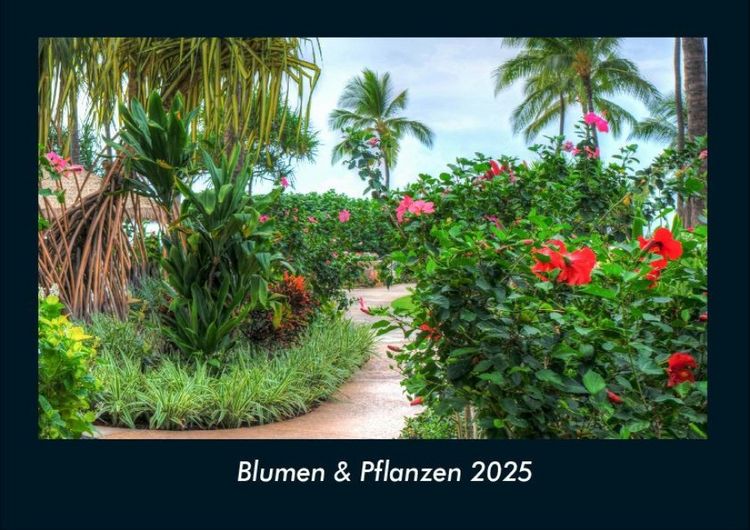 Produktbild: Blumen & Pflanzen 2025 Fotokalender DIN A4