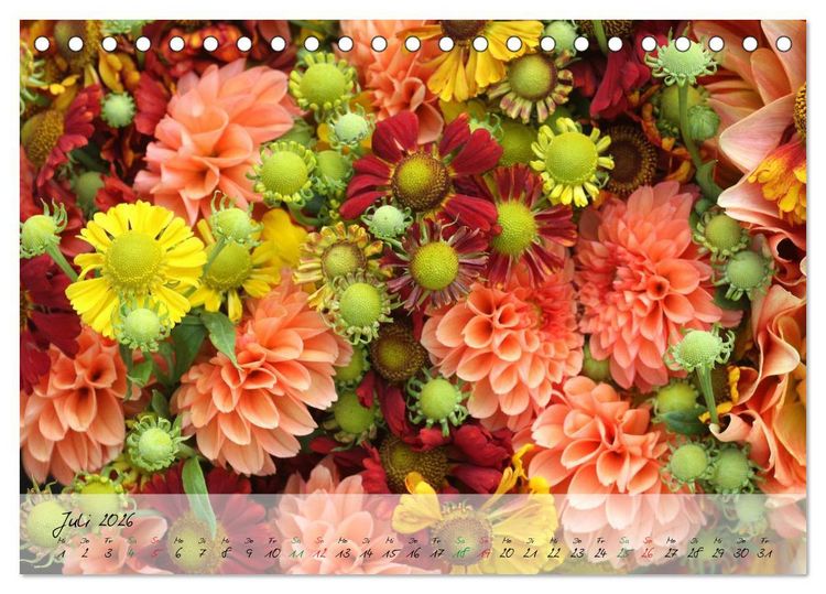 Produktbild: Bl&uuml;ten dicht an dicht (Tischkalender 2026 DIN A5 quer), CALVENDO Monatskalender