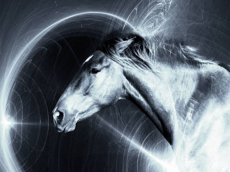 Produktbild: CALVENDO Puzzle SpaceHorse | 1000 Teile Lege-Gr&ouml;&szlig;e 64x48cm Foto-Puzzle f&uuml;r gl&uuml;ckliche Stunden