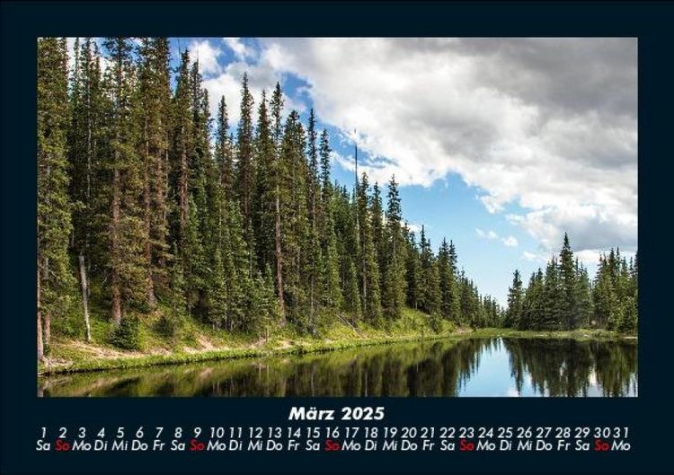 Produktbild: B&auml;ume 2025 Fotokalender DIN A5