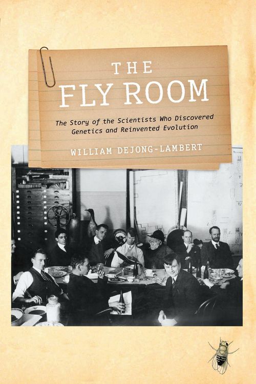 Produktbild: The Fly Room