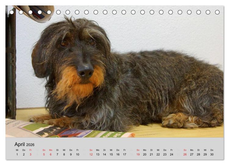 Produktbild: Liebenswerte Clowns (Tischkalender 2026 DIN A5 quer), CALVENDO Monatskalender