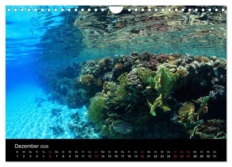 Produktbild: Bilder der Tiefe 2026 (Wandkalender 2026 DIN A4 quer), CALVENDO Monatskalender