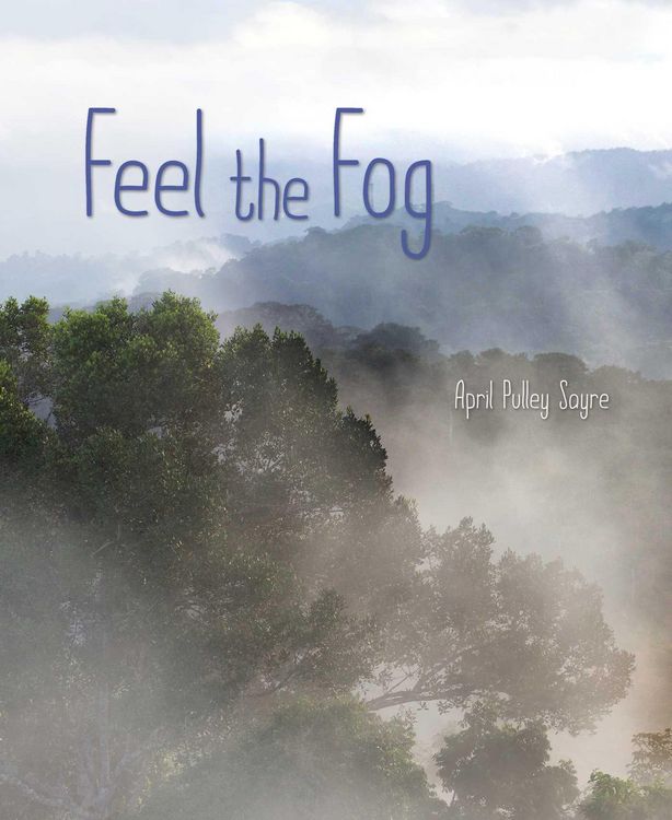 Produktbild: Feel the Fog