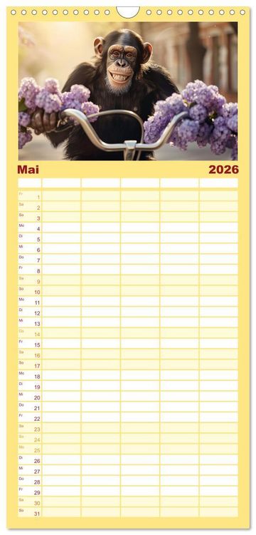 Produktbild: Familienplaner 2026 - Schimpansen - Ein Jahr mit Menschenaffen. mit 5 Spalten (Wandkalender, 21 x 45 cm) CALVENDO