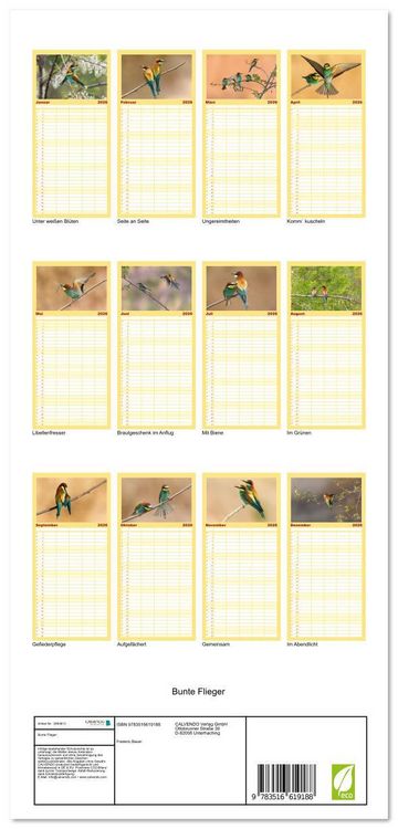 Produktbild: Familienplaner 2026 - Bunte Flieger mit 5 Spalten (Wandkalender, 21 x 45 cm) CALVENDO