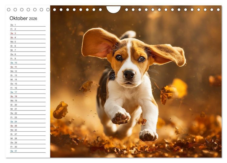 Produktbild: Hundegl&uuml;ck (Wandkalender 2026 DIN A4 quer), CALVENDO Monatskalender