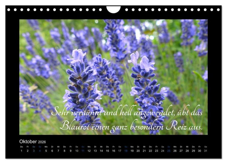 Produktbild: Goethes Blau. Gedanken zur Farbe (Wandkalender 2026 DIN A4 quer), CALVENDO Monatskalender