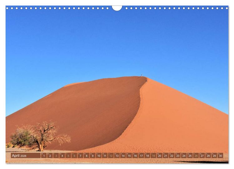 Produktbild: Bunte Wunder der Natur (Wandkalender 2026 DIN A3 quer), CALVENDO Monatskalender