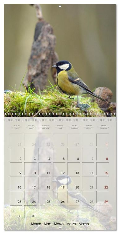 Produktbild: Le jardin des m&eacute;sanges (Calendrier mural carr&eacute; 2026 30x30 cm) Calendrier double avec une page pour vos prises de notes